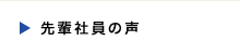 先輩社員の声